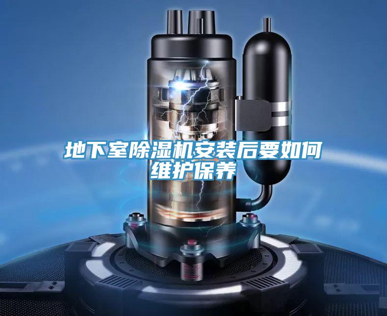 地下室草莓小视频黄色安裝後要如何維護保養