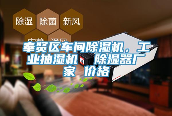 奉賢區車間草莓小视频黄色，工業抽濕機  除濕器廠家 價格