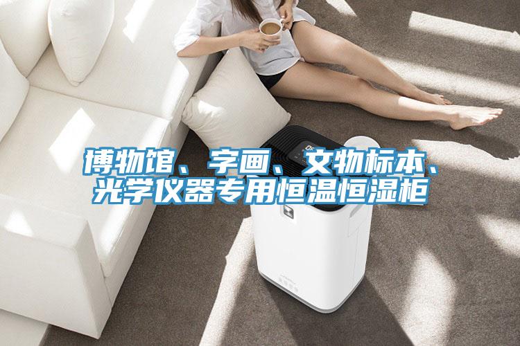 博物館、字畫、文物標本、光學儀器專用恒溫恒濕櫃