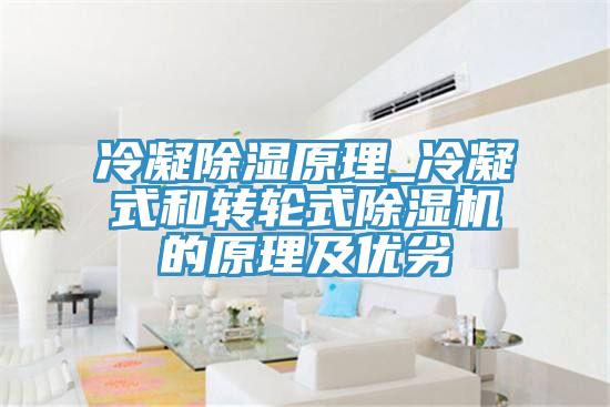 冷凝除濕原理_冷凝式和轉輪式草莓小视频黄色的原理及優劣
