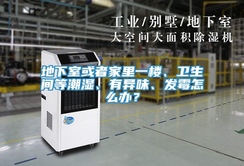 地下室或者家裏一樓、衛生間等潮濕、有異味、發黴怎麽辦？