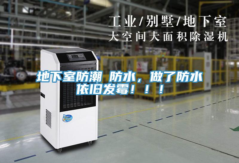 地下室防潮≠防水，做了防水依舊發黴！！！