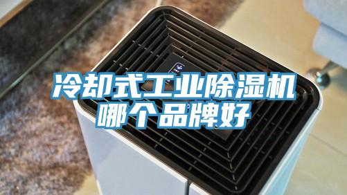 冷卻式工業草莓小视频黄色哪個品牌好