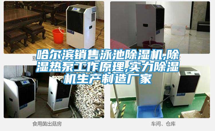 哈爾濱銷售泳池草莓小视频黄色,除濕熱泵工作原理,實力草莓小视频黄色生產製造廠家