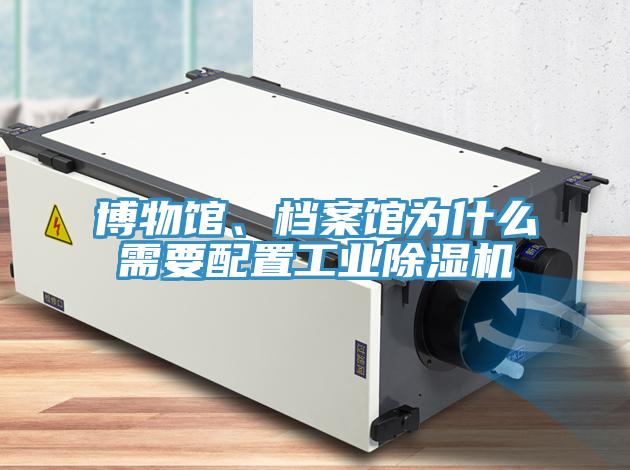 博物館、檔案館為什麽需要配置工業草莓小视频黄色