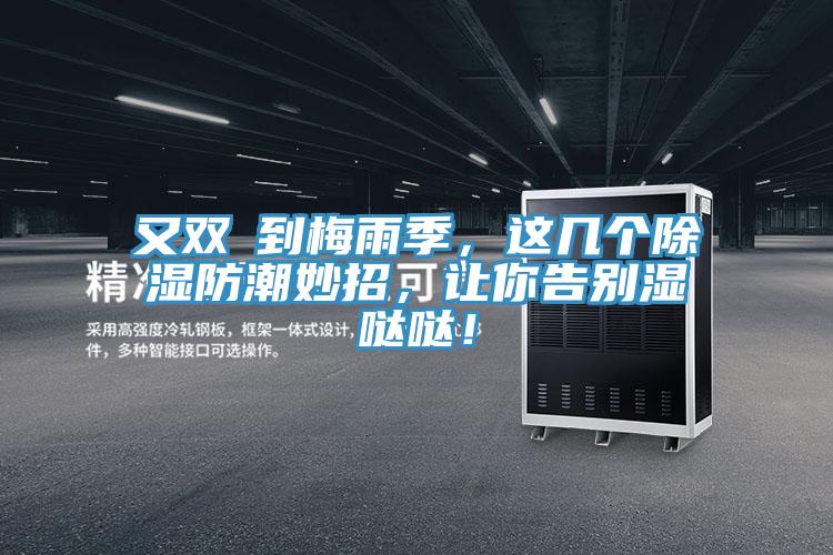 又雙叒到梅雨季，這幾個除濕防潮妙招，讓你告別濕噠噠！