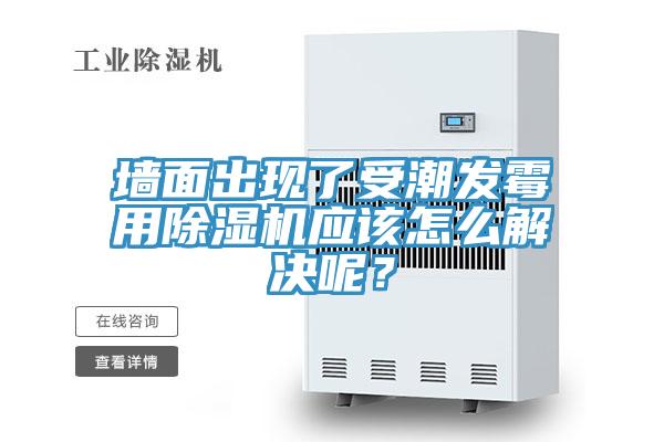 牆麵出現了受潮發黴用草莓小视频黄色應該怎麽解決呢？