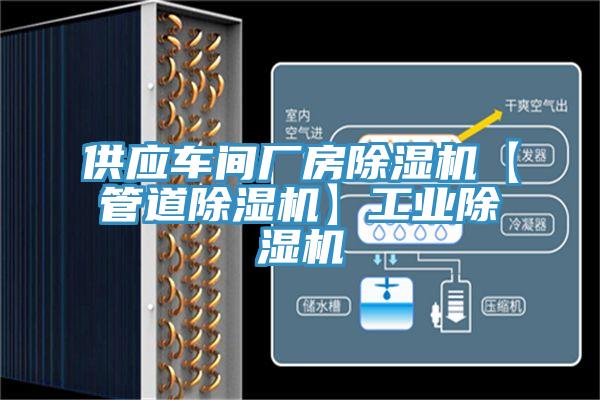 供應車間廠房草莓小视频黄色【管道草莓小视频黄色】工業草莓小视频黄色