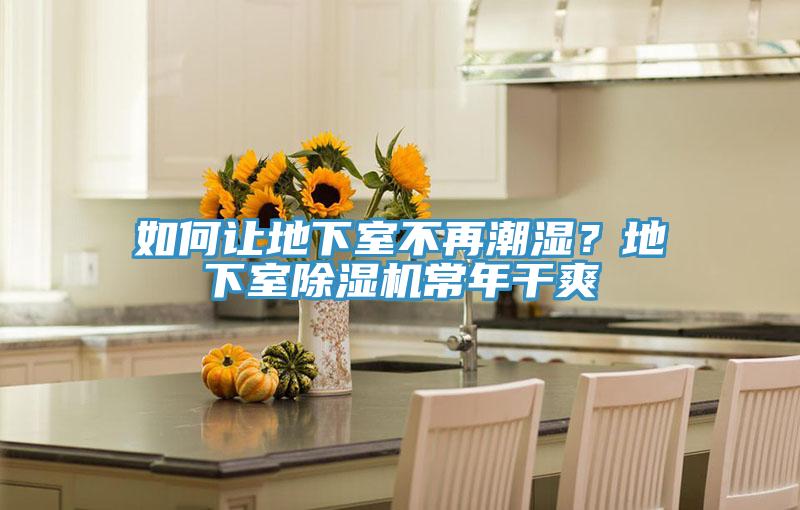 如何讓地下室不再潮濕？地下室草莓小视频黄色常年幹爽