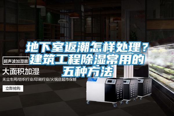 地下室返潮怎樣處理？建築工程除濕常用的五種方法