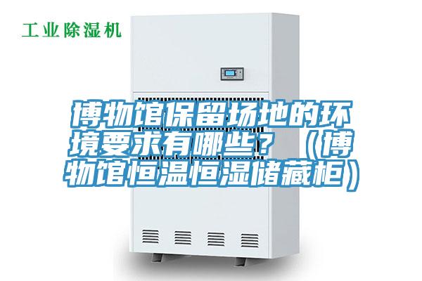 博物館保留場地的環境要求有哪些？（博物館恒溫恒濕儲藏櫃）