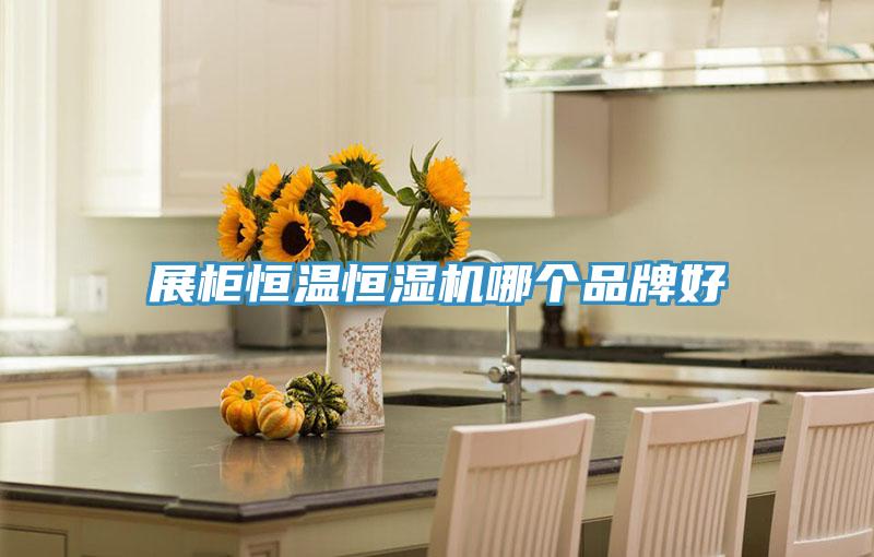 展櫃恒溫恒濕機哪個品牌好