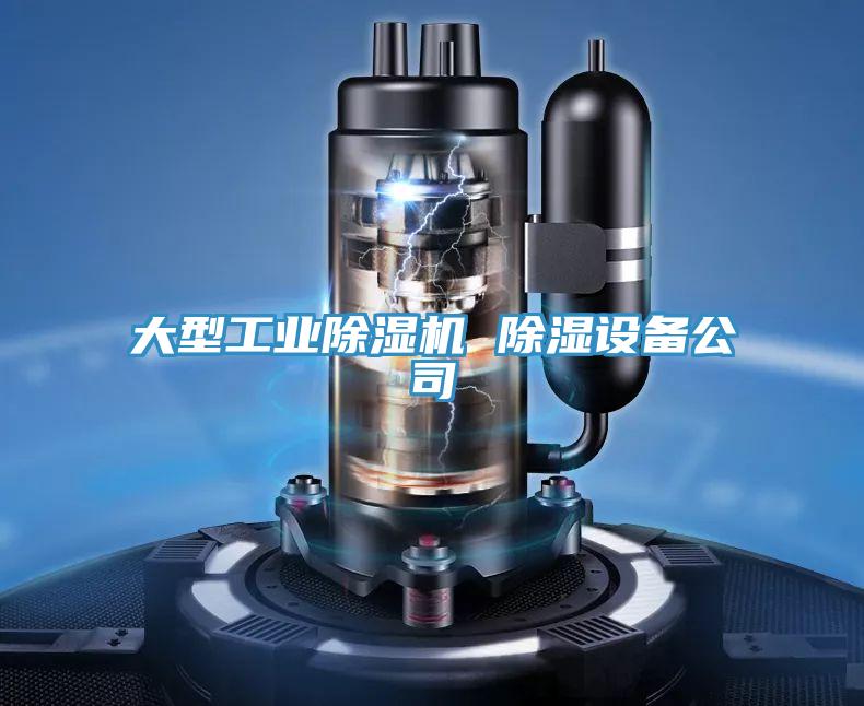 大型工業草莓小视频黄色 除濕設備公司