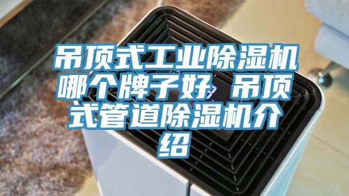 吊頂式工業草莓小视频黄色哪個牌子好 吊頂式管道草莓小视频黄色介紹