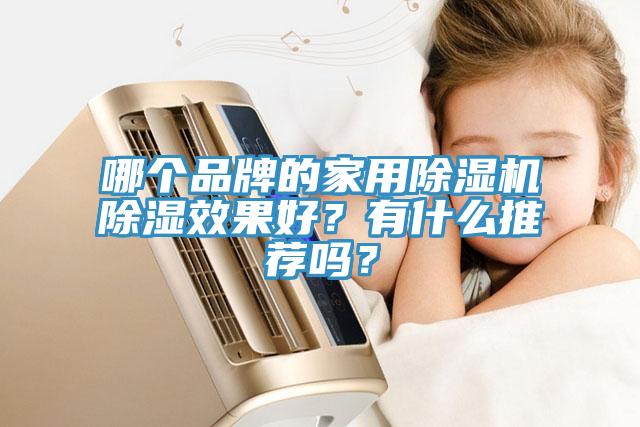 哪個品牌的家用草莓小视频黄色除濕效果好？有什麽推薦嗎？