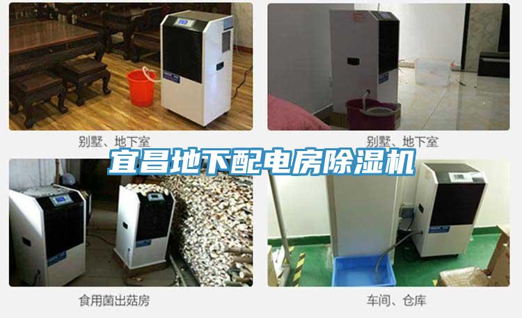 宜昌地下配電房草莓小视频黄色