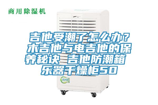 吉他受潮了怎麽辦？木吉他與電吉他的保養秘訣 吉他防潮箱 樂器幹燥櫃50
