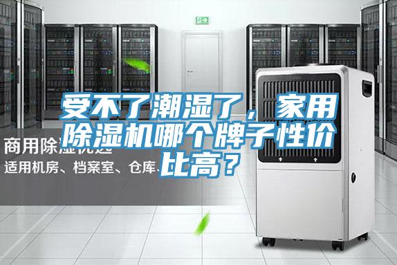 受不了潮濕了，家用草莓小视频黄色哪個牌子性價比高？