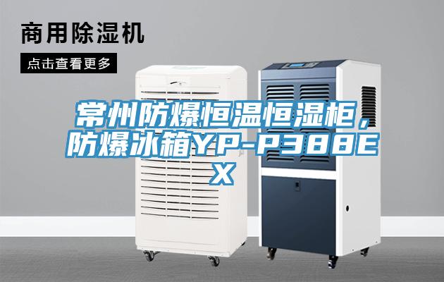 常州防爆恒溫恒濕櫃，防爆冰箱YP-P388EX