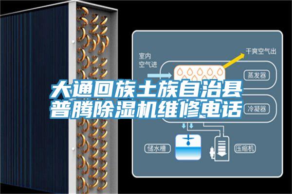 大通回族土族自治縣普騰草莓小视频黄色維修電話