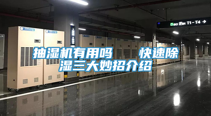 抽濕機有用嗎 快速除濕三大妙招介紹