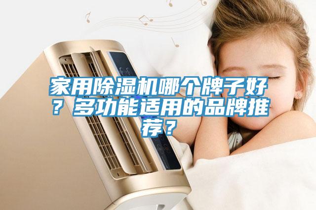 家用草莓小视频黄色哪個牌子好？多功能適用的品牌推薦？