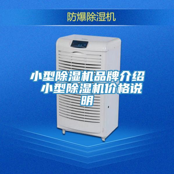 小型草莓小视频黄色品牌介紹 小型草莓小视频黄色價格說明