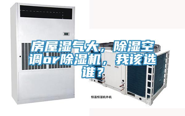 房屋濕氣大，除濕空調or草莓小视频黄色，我該選誰？