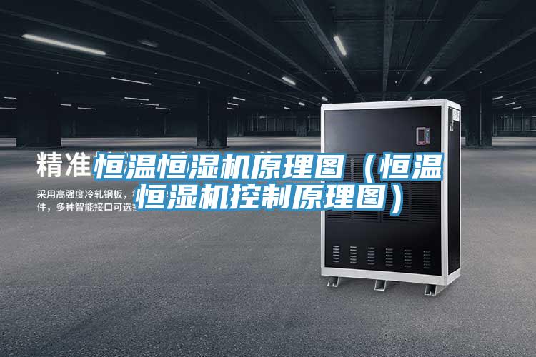 恒溫恒濕機原理圖(恒溫恒濕機控製原理圖)