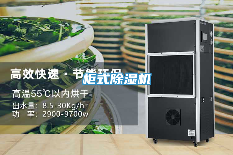 櫃式草莓小视频黄色