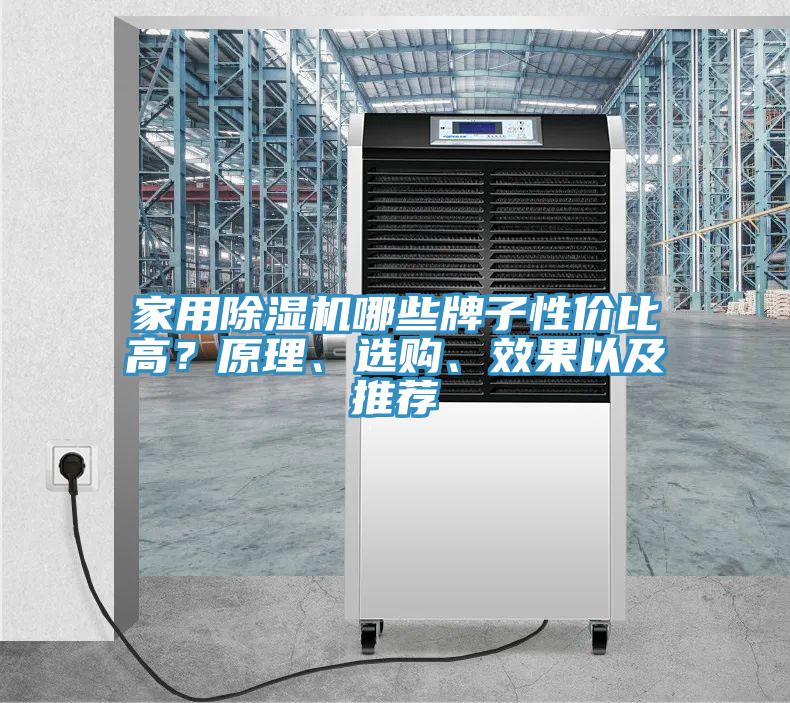 家用草莓小视频黄色哪些牌子性價比高？原理、選購、效果以及推薦