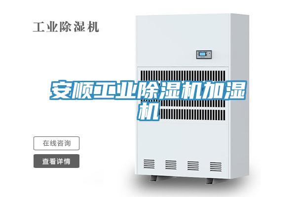 安順工業草莓小视频黄色加濕機