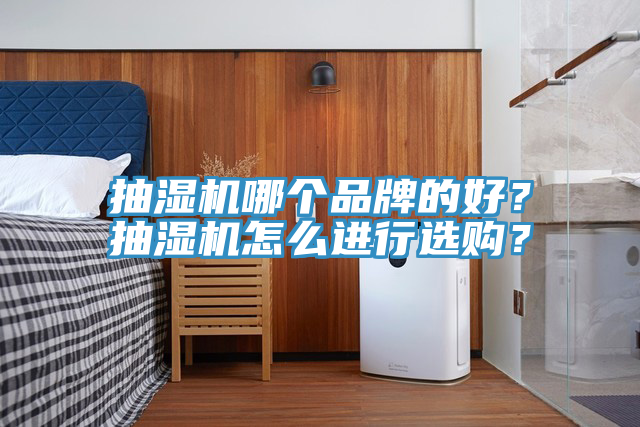 抽濕機哪個品牌的好？抽濕機怎麽進行選購？