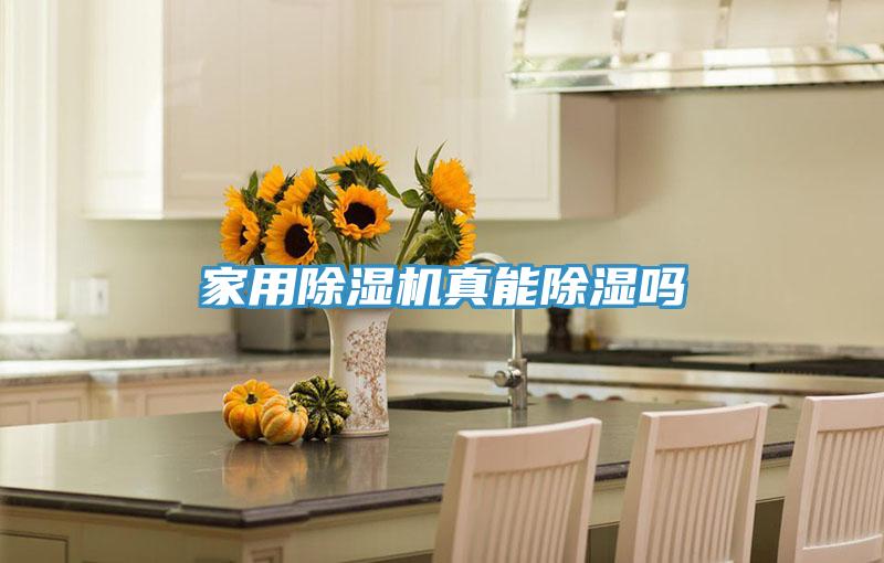 家用草莓小视频黄色真能除濕嗎