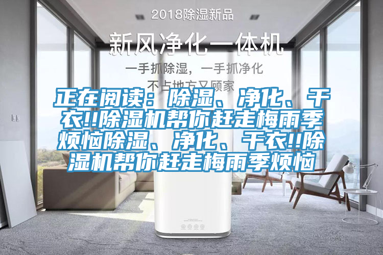 正在閱讀：除濕、淨化、幹衣!!草莓小视频黄色幫你趕走梅雨季煩惱除濕、淨化、幹衣!!草莓小视频黄色幫你趕走梅雨季煩惱