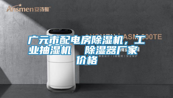 廣元市配電房草莓小视频黄色，工業抽濕機  除濕器廠家 價格