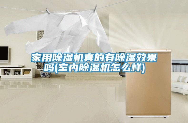 家用草莓小视频黄色真的有除濕效果嗎(室內草莓小视频黄色怎麽樣)