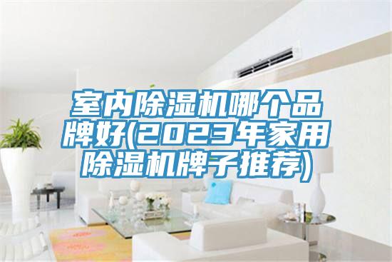 室內草莓小视频黄色哪個品牌好(2023年家用草莓小视频黄色牌子推薦)