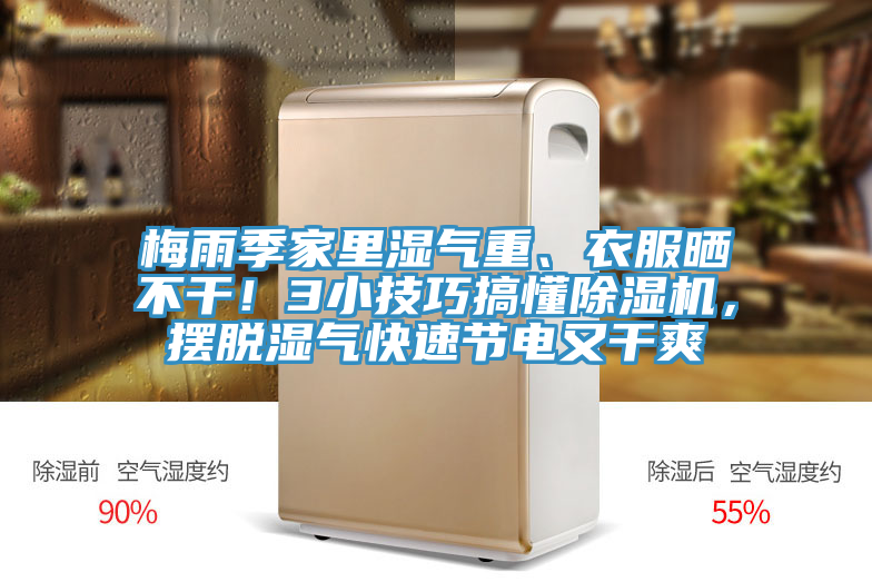 梅雨季家裏濕氣重、衣服曬不幹！3小技巧搞懂草莓小视频黄色，擺脫濕氣快速節電又幹爽