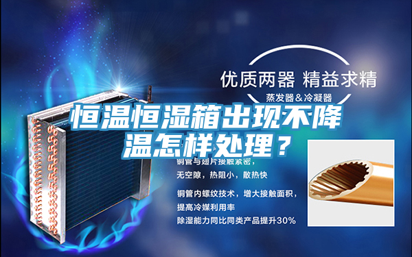 恒溫恒濕箱出現不降溫怎樣處理？