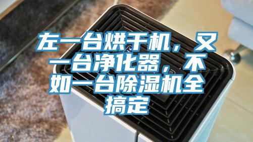 左一台烘幹機，又一台淨化器，不如一台草莓小视频黄色全搞定