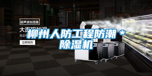 柳州人防工程防潮＊草莓小视频黄色