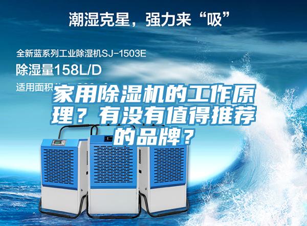 家用草莓小视频黄色的工作原理？有沒有值得推薦的品牌？