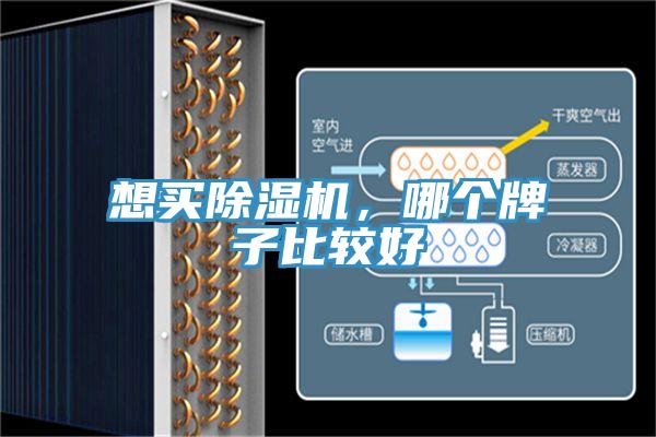 想買草莓小视频黄色，哪個牌子比較好