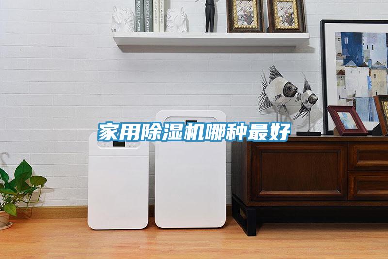 家用草莓小视频黄色哪種最好