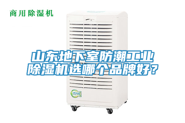 山東地下室防潮工業草莓小视频黄色選哪個品牌好？