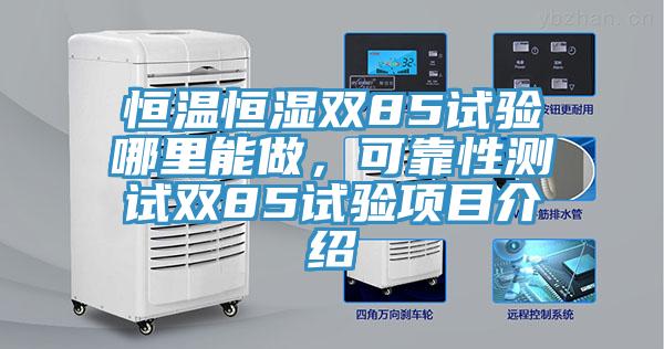 恒溫恒濕雙85試驗哪裏能做，可靠性測試雙85試驗項目介紹