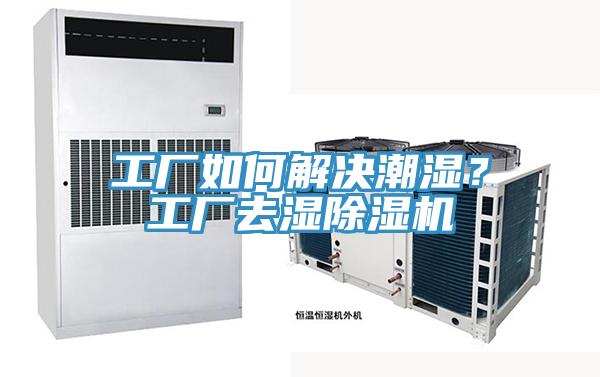 工廠如何解決潮濕？工廠去濕草莓小视频黄色