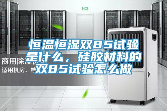 恒溫恒濕雙85試驗是什麽，矽膠材料的雙85試驗怎麽做