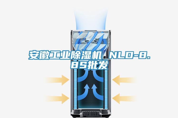 安徽工業草莓小视频黄色 NLD-8.8S批發